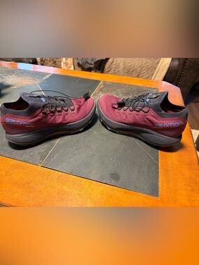 Salomon pulsar trail pro